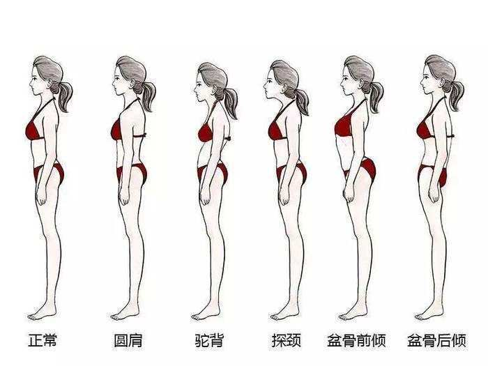图片8